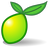lime survey logo