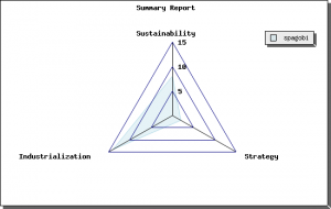 Spagobi Summary Report